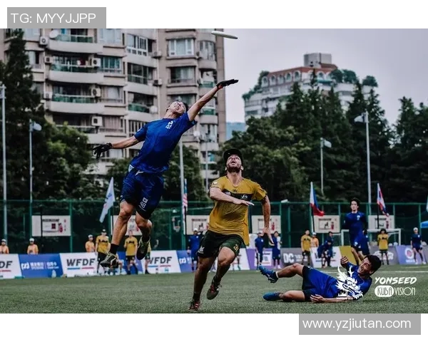 聚焦飞盘运动：成都飞盘队如何提升团队意识与竞技水平